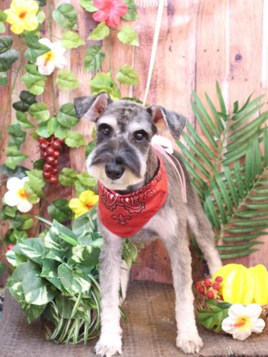 20230827オーシャンくん